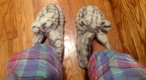 Toasty Bearpaw slippers and happy pajama pants always make winter slightly tolerable..